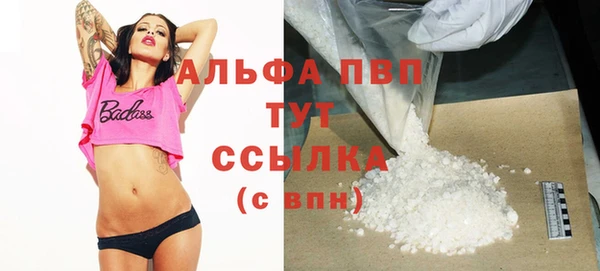 мяу мяу мука Белокуриха