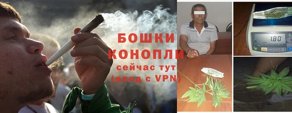 мяу мяу мука Белокуриха