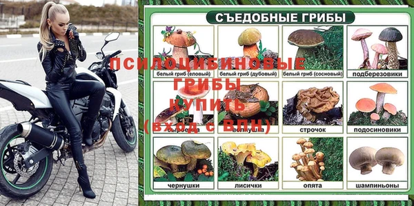 мяу мяу мука Белокуриха