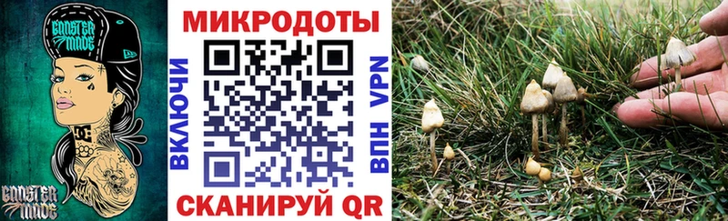 Псилоцибиновые грибы Psilocybe  Володарск 